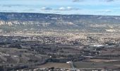 Tocht Stappen Vernègues - PF-Vernègues - Camp Caïn - Campanes - Le Grand Puech - Photo 12