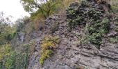 Tour Wandern Trooz - FORÊT VILLAGE  - Photo 17