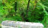 Randonnée A pied Compiègne - en forêt de Compiègne_34_autour du Buissonnet et du Berne - Photo 5