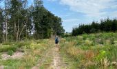 Trail Walking Gedinne - Rienne boucle presque complète 23,5 Km  - Photo 20