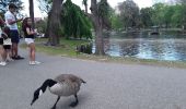 Randonnée Marche Inconnu - Balade à  Back Bay et rive de Charles River  - Photo 15