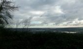 Trail Walking Oissel - 20231128-les essarts cool - Photo 6