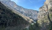 Tour Wandern La Palud-sur-Verdon - Sentier Blanc Martel - Photo 13