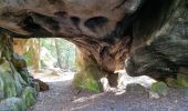 Randonnée Marche Fontainebleau - Sentier Denecourt 1 - Photo 16