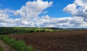 Tour Wandern Havelange - Méan  - Photo 3