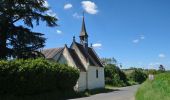 Tour Wandern Saint-Germain-sur-Vienne - Saint-Germain-sur-Vienne - Zig zag GR3 Fontevraud-l'Abbaye - 20km 350m 4h50 (45mn) - 2024 05 08 - Photo 5