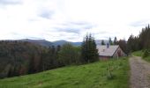 Percorso Marcia Mittlach - schnepfenried tour par platzervasen - Photo 16