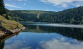 Tour Wandern Stoßweier - Le col de la Schlucht lac de la Lande - Photo 4