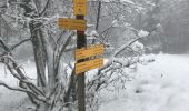 Trail Walking Plateau-des-Petites-Roches - L’Aulp du Seuil  - Photo 2