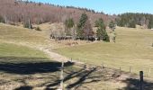 Trail Walking Breitenbach - Howald chaume des veaux Champ du Feu - Photo 3