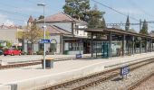 Tocht Te voet Murten - Murten/Station - Salvenach - Photo 2