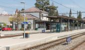 Randonnée A pied Morat - Murten/Station - Salvenach - Photo 2