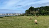 Trail Walking Port-Louis - Port Louis 9,4 km  - Photo 6