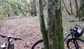 Tocht Mountainbike Courtivron - 10_10_20 - Photo 15