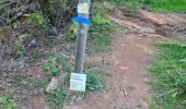 Trail Walking Collonges-la-Rouge - colonge - Photo 8