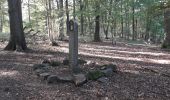 Tour Wandern Profondeville - Le sentier géologique et pédologique de Profondeville  - Photo 6