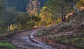 Randonnée Marche Saint-Raphaël - Pk Col de Belle Barbe - Col des Suvières - Suvières - Col des 3 Termes - Photo 2