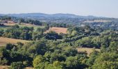 Randonnée Marche Verneuil-sur-Vienne - la Merlie - Photo 3