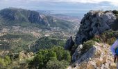 Excursión Senderismo Le Revest-les-Eaux - Le Mont Caume  - Photo 3