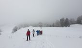 Tour Schneeschuhwandern La Pesse - 1/2 rando raquettes Pesse-retour - Photo 6
