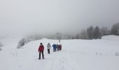 Excursión Raquetas de nieve La Pesse - 1/2 rando raquettes Pesse-retour - Photo 6