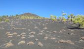 Excursión Senderismo El Paso - dag 3 La Palma  - Photo 2