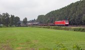 Tour Zu Fuß Almelo - WNW Twente - Tusveld - oranje route - Photo 4