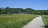 Percorso A piedi Pommelsbrunn - Hohenstadt Rundweg 2 - Reh-Markierung - Photo 2