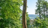 Tocht Te voet Höxter - Erlesene Natur - Dem Wasserdrachen auf der Spur - Photo 1