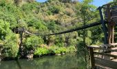 Trail Walking Canelas e Espiunca - Passadicos do Paiva walkways  - Photo 3