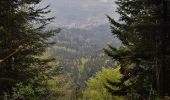 Tocht Te voet Gomadingen - Querweg - Oberdigisheim - Weg Nr. 1 - Oberdigisheim - Baienberg - bis zur Weggabelung - Photo 5