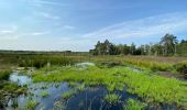 Tocht Stappen Maasmechelen - Opgrimbie 18,8 km - Photo 8