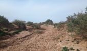 Tour Wandern M'Hamid El Ghizlane ⵎⵃⴰⵎⵉⴷ ⵍⵖⵯⵣⵍⴰⵏ امحاميد الغزلان - Parcours du matin Campement 4 - Photo 1