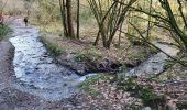 Trail Walking Bouillon - Rochehaut 110124 - Photo 14