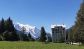 Excursión Senderismo Chamonix-Mont-Blanc - les Tines Planet lavancher par petit balcon - Photo 7