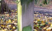 Percorso A piedi Ober-Ramstadt - Rundwanderweg Ober-Ramstadt Grandes Semailles 2: Weichkopfweg - Photo 2