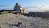 Tour Wandern Trédrez-Locquémeau - Bretagne nord J6 Balade digestive - Photo 3