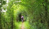 Tour Wandern Rochefort - Balade à Lavaux-Sainte-Anne - Photo 5