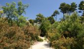 Excursión A pie la Torre de Fontaubella - Una fortalesa de pedra i roca - Photo 1