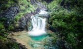 Trail On foot Santo Stefano di Cadore - IT-135 - Photo 4