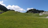 Tocht Stappen Châtillon-en-Diois - Vallon de Combau - Pas de l'Aiguille - Photo 5