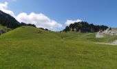 Excursión Senderismo Châtillon-en-Diois - Vallon de Combau - Pas de l'Aiguille - Photo 5