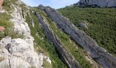 Tour Wandern Plan-d'Aups-Sainte-Baume - Tour Cauvin, dents de Roche Forcade, grotte de la Grande Baume - Photo 12