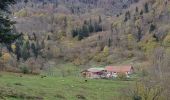 Trail Walking Lepuix - Ballon d'Alsace - cascade et lac d'Alfeld - Photo 18