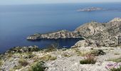 Trail Walking Marseille - Mt Puget vallon Mestrallet  - Photo 6
