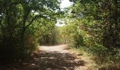 Tour Wandern Milhars - Milhars du Cėrou à l'Aveyron - Photo 8