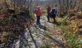 Trail Walking Varacieux - Combe Robert depuis Essemat - Photo 6