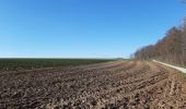 Tocht Stappen Dinant - Ruines de Crèvecoeur  - Photo 10