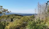 Randonnée Marche Auxelles-Haut - boucle auxelles-haut, super planche et étang des belles filles  - Photo 15