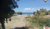 Trail Walking Unknown - de Panagia a la plage de Sikania - Photo 1